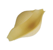 Load image into Gallery viewer, Shell