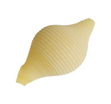 Load image into Gallery viewer, Shell