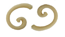 Load image into Gallery viewer, Gemelli Bronze